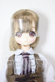 画像1: AZONE/Alvastaria　ティオ〜白雪猫と冬の森のオオカミさん〜 A-26-02-18-151-NY-ZA (1)