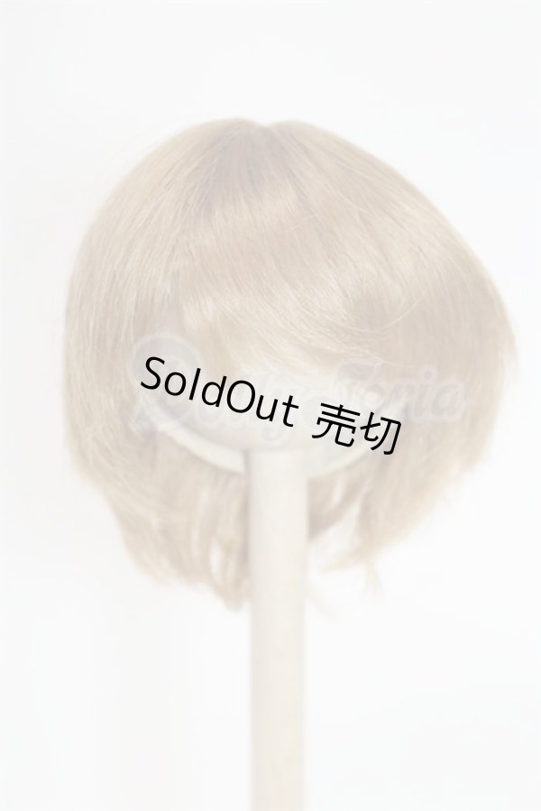 画像1: 6-7inch/ウィッグ/インチ　BJD　MJD　ドール用 A-26-03-04-067-NY-ZA (1)