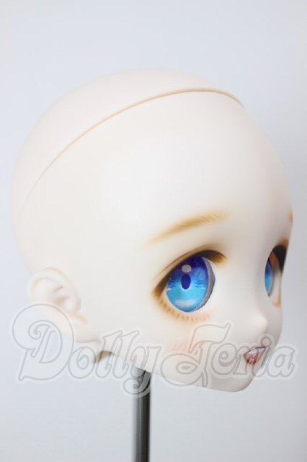 画像3: DD/DWC#1カスタムヘッド A-26-02-25-238-NY-ZA (3)