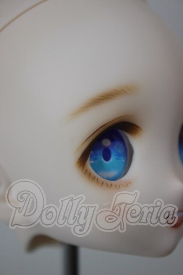 画像6: DD/DWC#1カスタムヘッド A-26-02-25-238-NY-ZA (6)