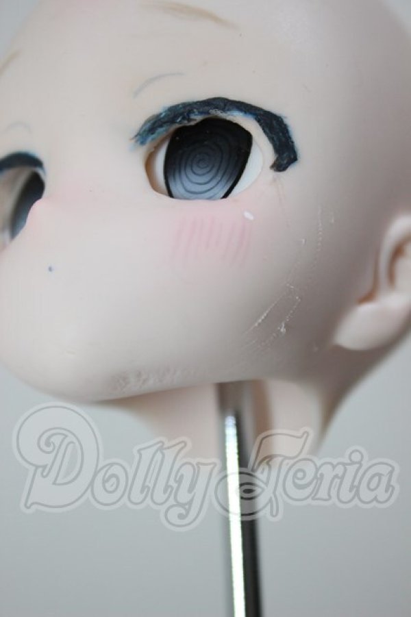 画像6: DD/DDH-28 カスタムヘッド A-26-02-25-239-NY-ZA (6)