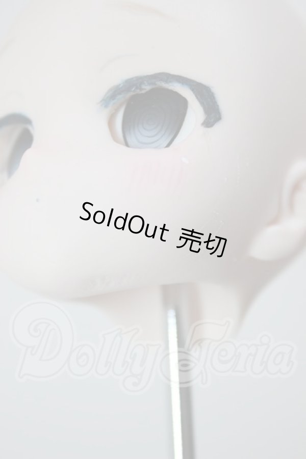 画像6: DD/DDH-28 カスタムヘッド A-26-02-25-239-NY-ZA (6)