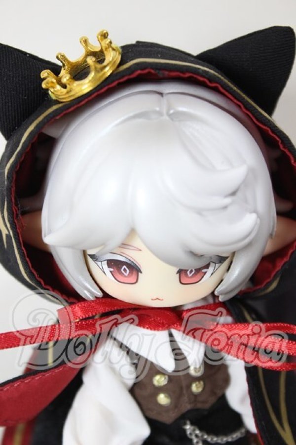 画像1: 秘境巡礼/アスタ　色違い A-26-02-25-241-NY-ZA (1)