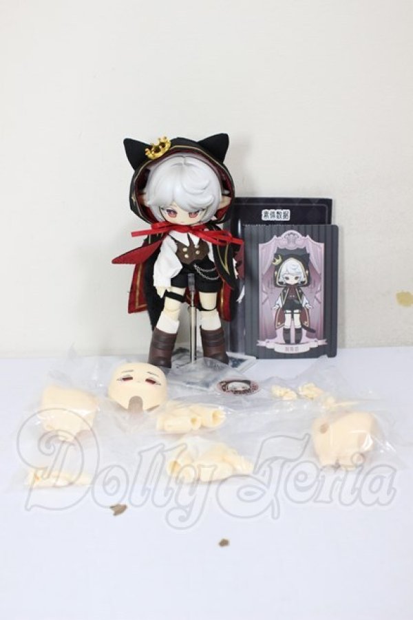 画像2: 秘境巡礼/アスタ　色違い A-26-02-25-241-NY-ZA (2)