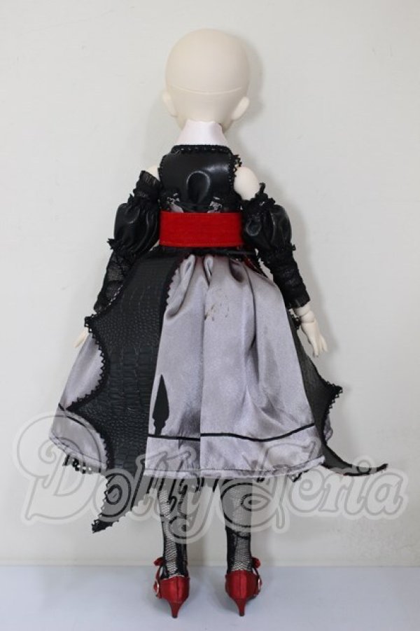 画像5: DDH-10/レミリア・スカーレット　カスタム A-26-02-25-256-NY-ZA (5)