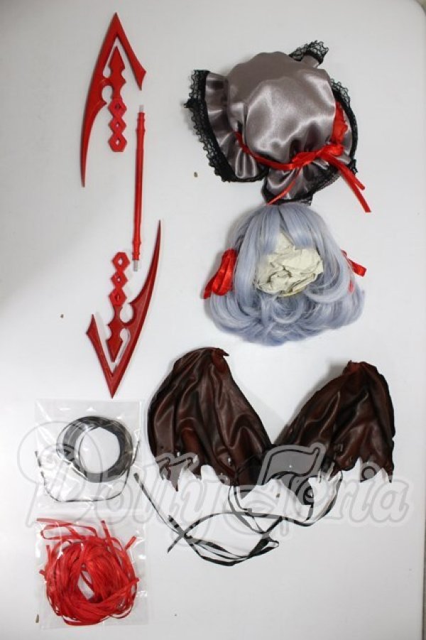 画像6: DDH-10/レミリア・スカーレット　カスタム A-26-02-25-256-NY-ZA (6)