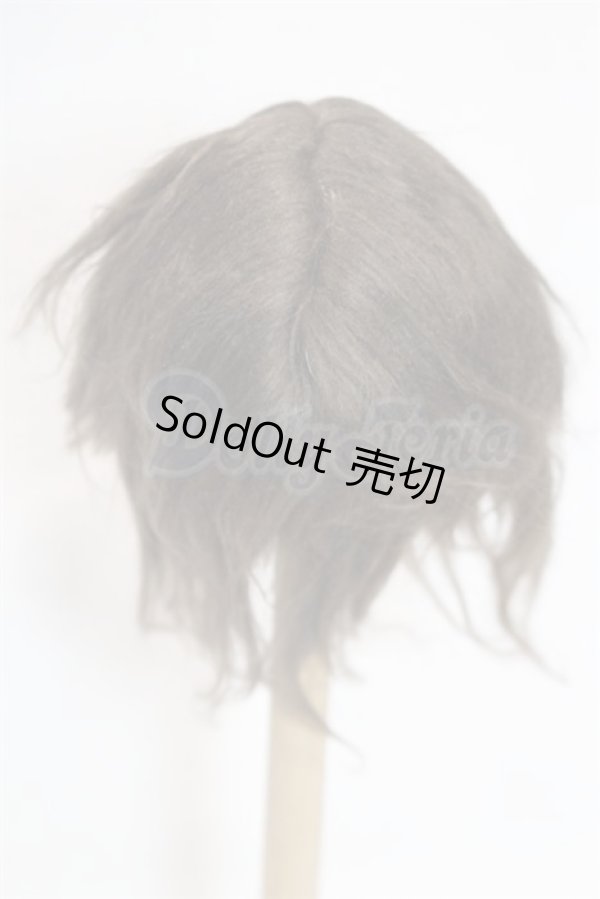 画像2: 6inch/ウィッグ/インチ　BJD　MJD　ドール用 A-26-03-11-080-NY-ZA (2)