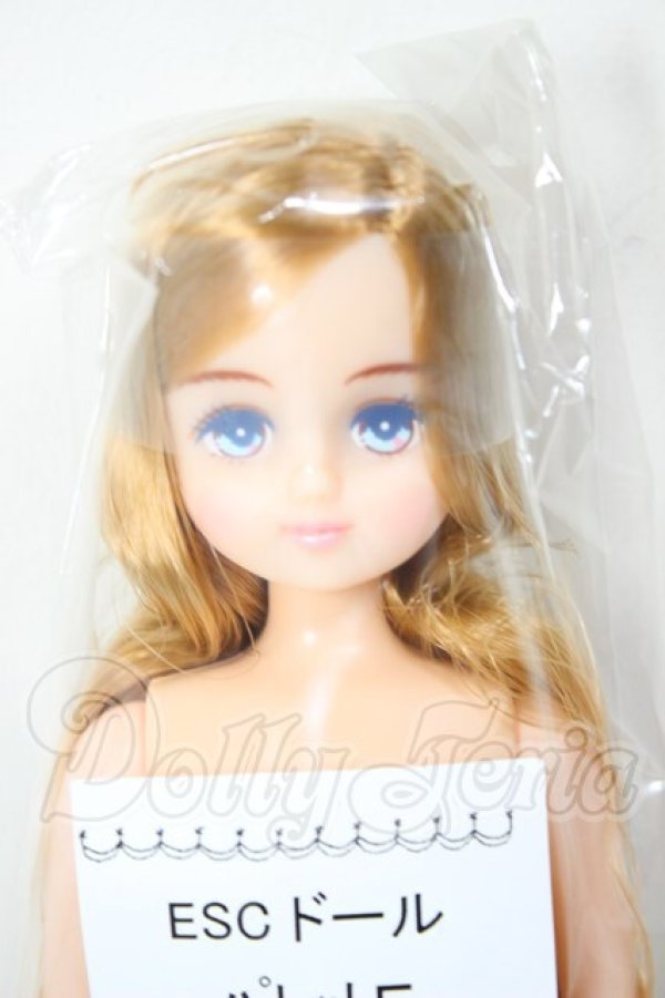 画像1: リカちゃんキャッスル/パレットF　ESCドール A-26-02-25-306-NY-ZA (1)