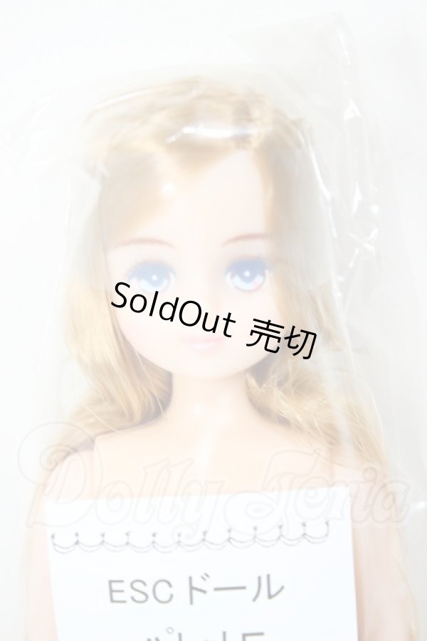 画像1: リカちゃんキャッスル/パレットF　ESCドール A-26-02-25-306-NY-ZA (1)