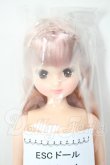 画像1: リカちゃんキャッスル/あきちゃん　ESCドール A-26-02-25-308-NY-ZA (1)