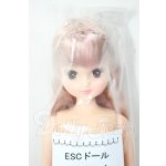 画像: リカちゃんキャッスル/あきちゃん ESCドール A-26-02-25-308-NY-ZA