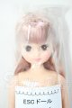画像: リカちゃんキャッスル/あきちゃん　ESCドール A-26-02-25-308-NY-ZA