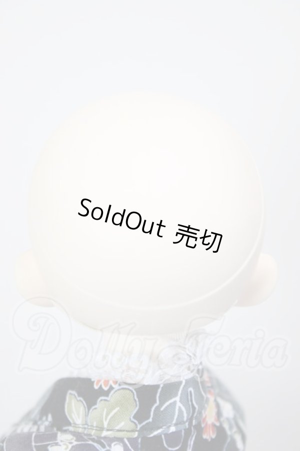 画像5: オビツ50ボディ/パラボックス　Pちゃんヘッド A-26-02-25-301-NY-ZA (5)