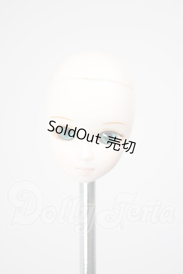 画像1: パラボックス/Sグレーテルヘッド A-26-02-25-320-NY-ZA (1)