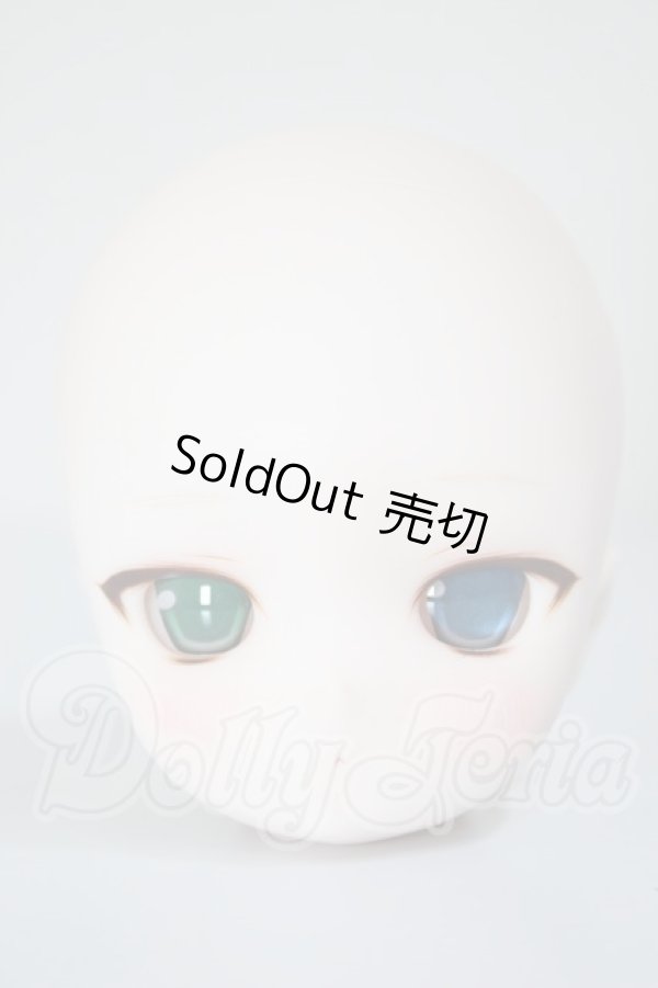 画像1: DD/DDH-29:カスタムヘッド A-26-02-25-359-NY-ZA (1)