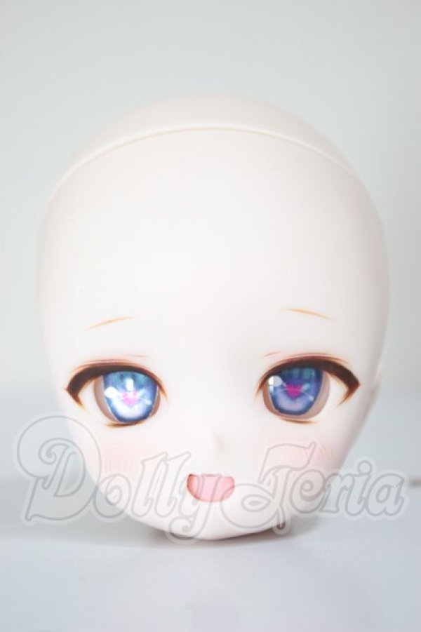 画像1: DD/DDH-28 カスタムヘッド A-26-02-25-358-NY-ZA (1)