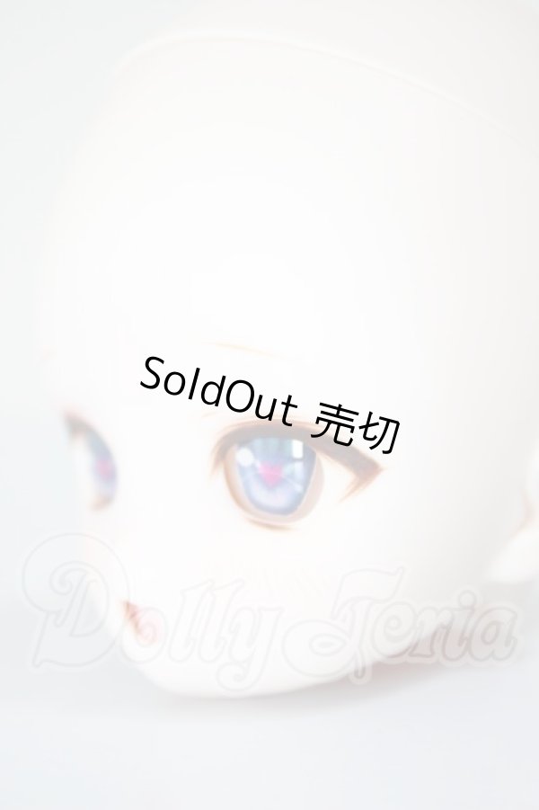 画像3: DD/DDH-28 カスタムヘッド A-26-02-25-358-NY-ZA (3)