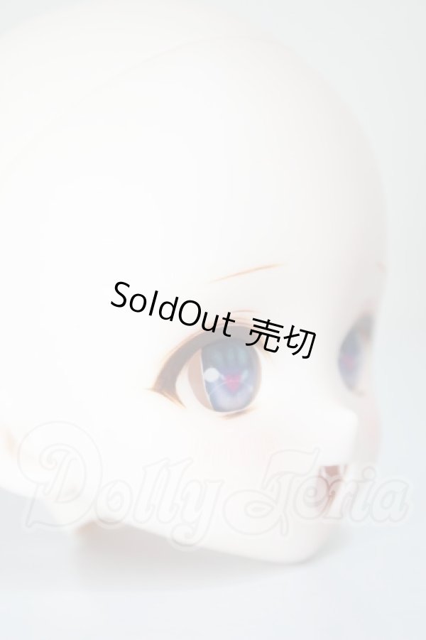 画像2: DD/DDH-10 (カスタマー様)カスタムヘッド A-26-02-25-356-NY-ZA (2)