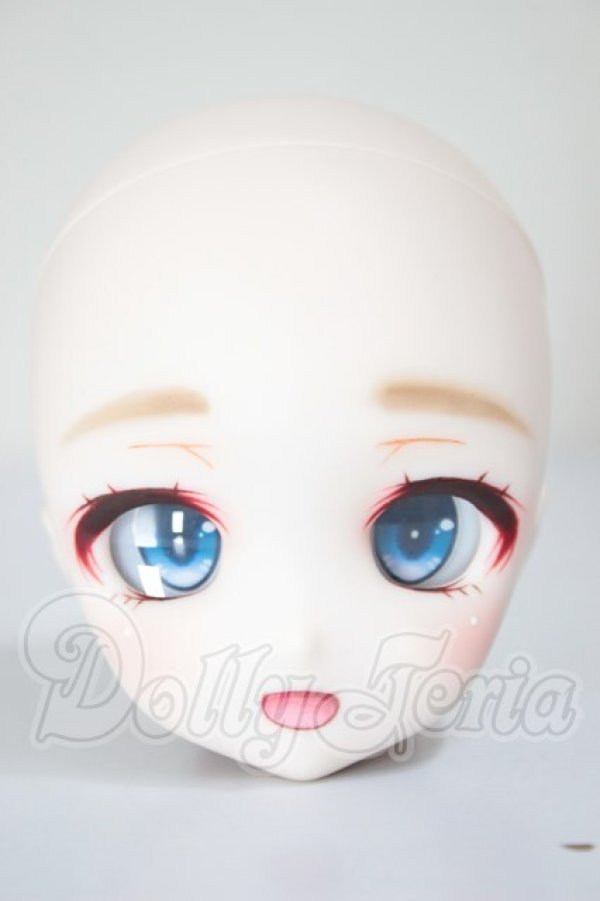 画像1: DD/DDH-27:カスタムヘッド A-26-02-25-353-NY-ZA (1)