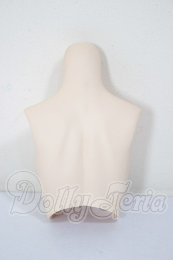 画像2: DD/上半身パーツ A-26-02-25-354-NY-ZA (2)