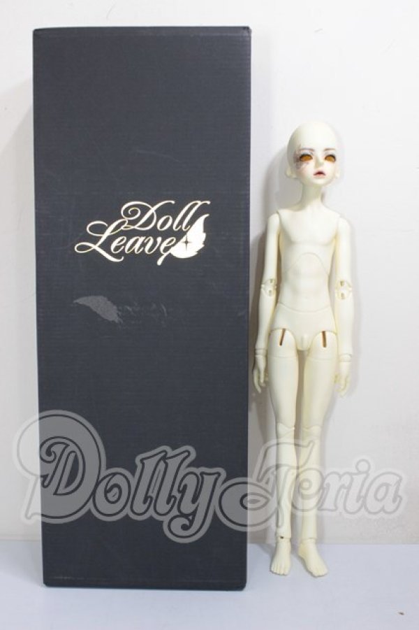 画像6: Doll Leaves/Andrew A-26-03-04-105-NY-ZA (6)