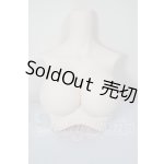 画像: DD/DD2.0(DD-f3)-B-L-SW 上半身パーツ L胸 A-26-03-04-150-TN-ZA