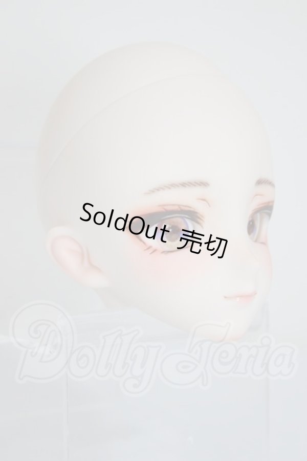 画像3: DD/DDH-09:カスタムヘッド:ぜりぽこ様製 A-26-03-04-146-TN-ZA (3)