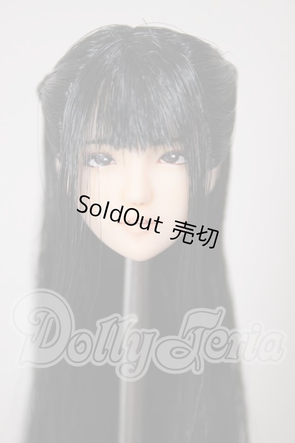 画像1: 1/6サイズ/カスタムヘッド：植毛 A-26-03-04-167-TN-ZA (1)