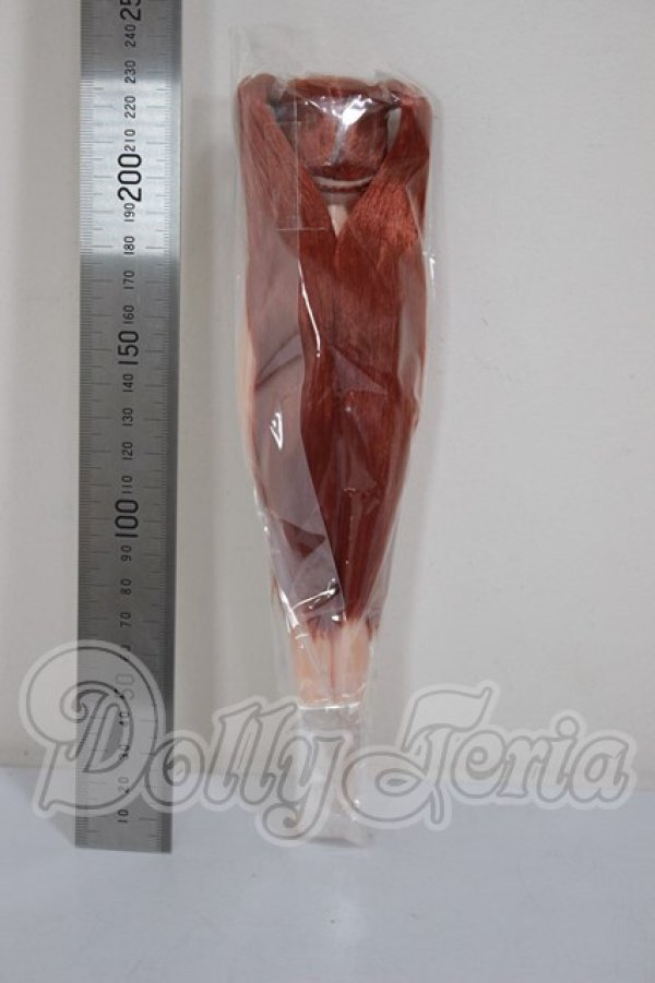 画像3: リカちゃんキャッスル/リカちゃん　ツーテール系　お人形教室スペシャル A-26-03-04-144-TN-ZA (3)