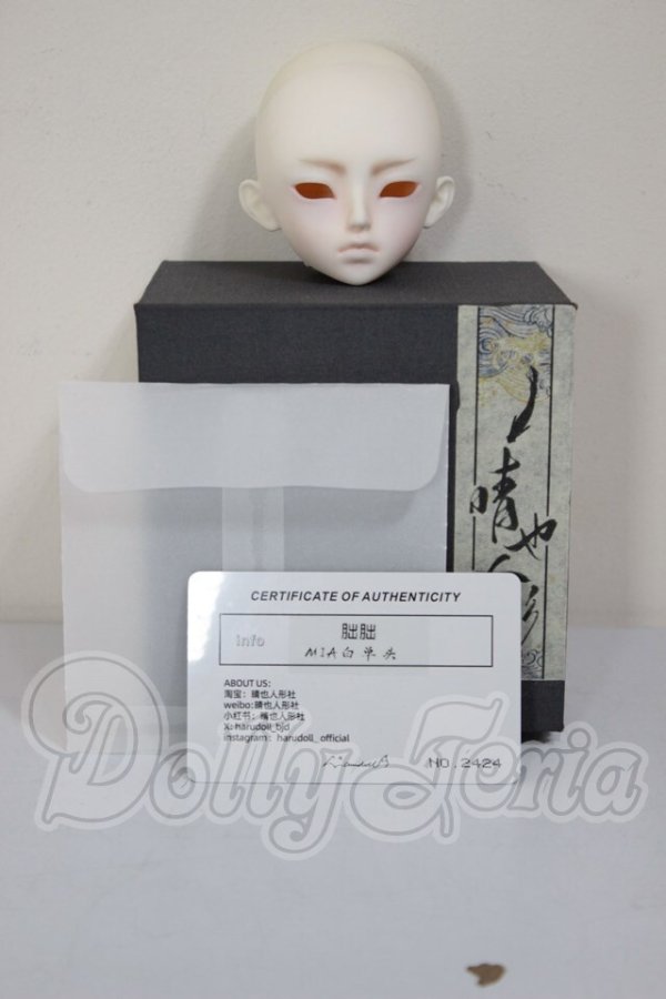 画像5: Harudoll　Mia A-26-03-04-153-TN-ZA (5)