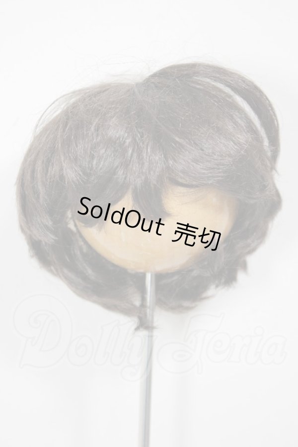 画像1: 9-10inch/ウィッグ/インチ　BJD　MJD　ドール用 A-26-03-11-048-NY-ZA (1)