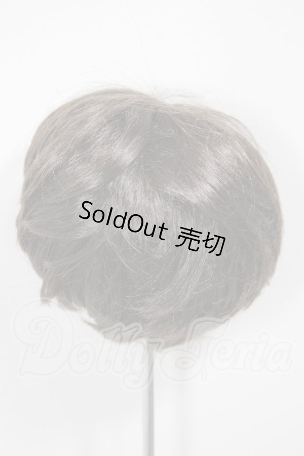 画像2: 9-10inch/ウィッグ/インチ　BJD　MJD　ドール用 A-26-03-11-048-NY-ZA (2)