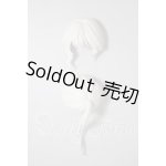 画像: 1/12サイズ/髪の毛パーツ A-26-03-04-280-NY-ZA