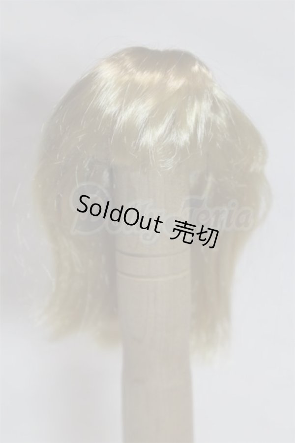 画像1: 5inch/ウィッグ/インチ　BJD　MJD　ドール用 A-26-03-11-082-NY-ZA (1)