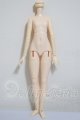 画像: 1/6サイズ/女性ボディ A-26-03-04-207-NY-ZA