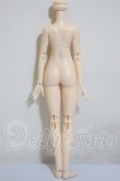 画像2: 1/6サイズ/女性ボディ A-26-03-04-207-NY-ZA (2)