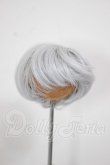 画像1: 6-7inch/ウィッグ A-26-03-04-259-WT-ZA (1)