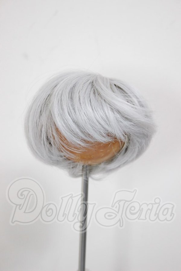 画像1: 6-7inch/ウィッグ A-26-03-04-259-WT-ZA (1)