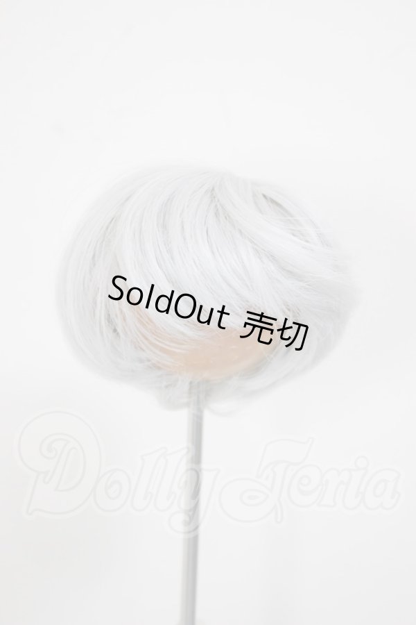 画像1: 6-7inch/ウィッグ A-26-03-04-259-WT-ZA (1)