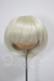 画像1: 9inch/ウィッグ A-26-03-04-379-NY-ZA (1)