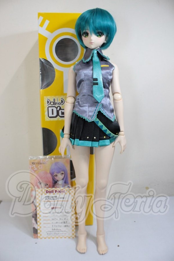 画像7: DD/DDH-09　D’COORD A-26-03-04-359-NY-ZA (7)