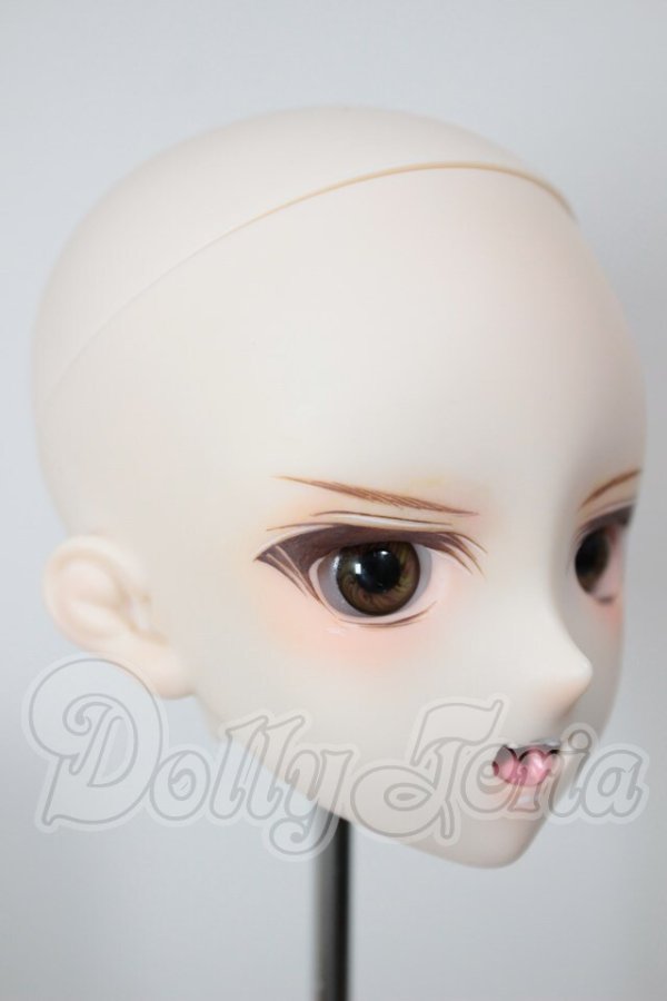 画像2: DD/DWC#2カスタムヘッド A-26-03-04-352-NY-ZA (2)