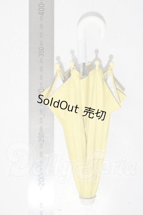 画像3: SDM/OF：傘 U-26-03-11-191-NY-ZU (3)