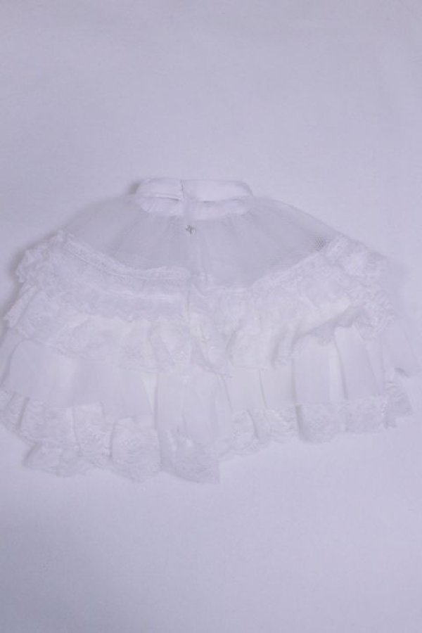 画像2: DD/OF:パニエ/0 A-26-03-18-092-NY-ZA (2)