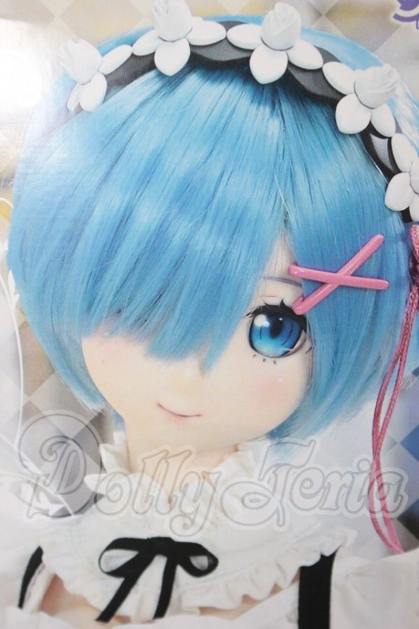 画像1: DDS/レム A-26-03-04-354-NY-ZA (1)