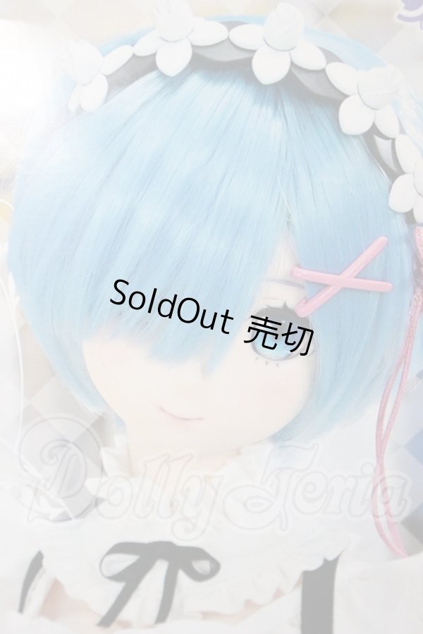 画像1: DDS/レム A-26-03-04-354-NY-ZA (1)