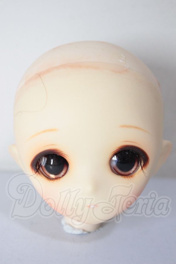 画像2: PARABOX/カスタムヘッド花かごの小部屋 A-26-04-08-150-TN-ZA (2)