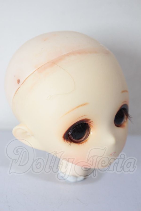 画像3: PARABOX/カスタムヘッド花かごの小部屋 A-26-04-08-150-TN-ZA (3)