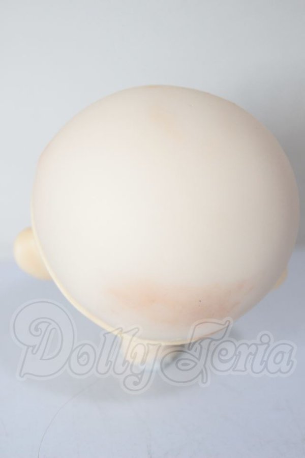 画像5: PARABOX/カスタムヘッド花かごの小部屋 A-26-04-08-150-TN-ZA (5)