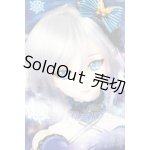 画像: DDS/アナスタシア A-26-03-11-102-TN-ZA